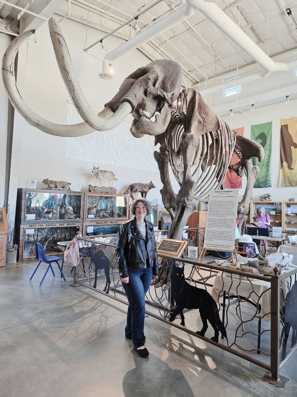 California Internet dinosaur Tonya Kubo meets California Ice Age fossil California Internet dinosaur Tonya Kubo is very tiny compared to the giant Columbian Mammoth Skeleton behind her. Columbian Mammoths had leathery skin like elephants unlike their smaller wooly cousins. This mammoth fossil is 14 feet high at the shoulders, while Tonya is an average 5-feet-3-inches.